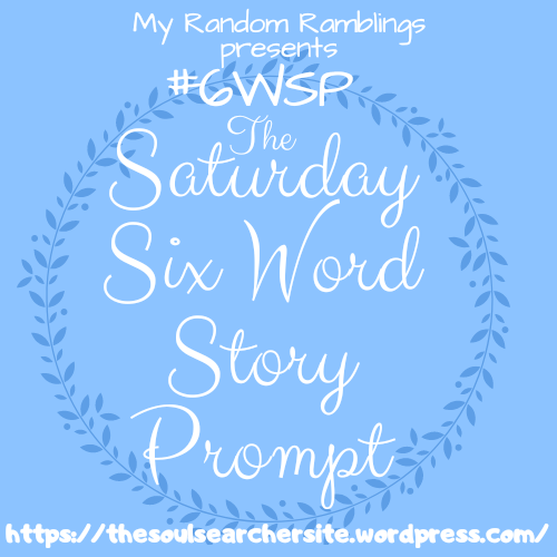 Saturday Six Word Story Prompt (6WSP) #109 – Nov 26, 2022